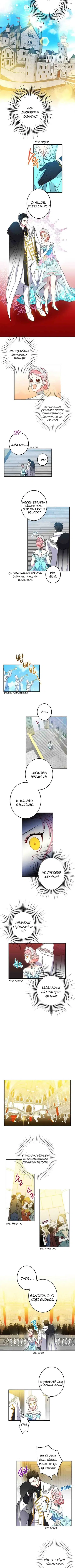 Bu Açıkça Sahte Bir Evlilik - Bölüm 14 Sayfa 4