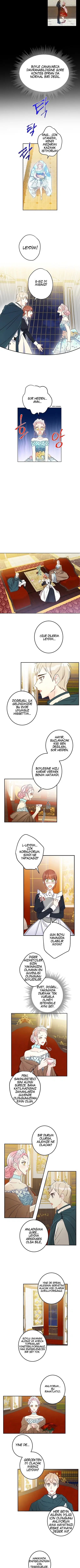 Bu Açıkça Sahte Bir Evlilik - Bölüm 17 Sayfa 3