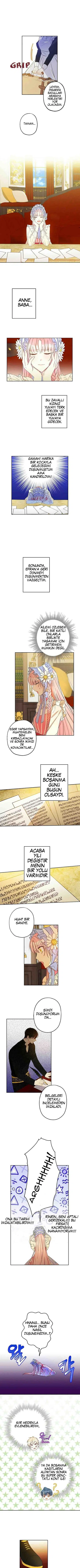 Bu Açıkça Sahte Bir Evlilik - Bölüm 20 Sayfa 2