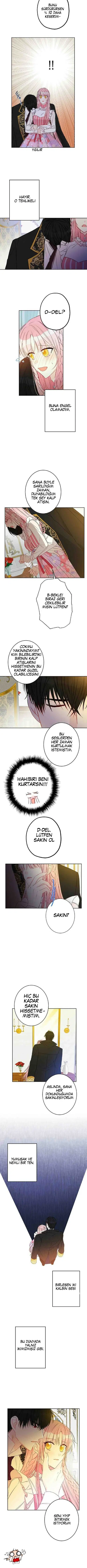 Bu Açıkça Sahte Bir Evlilik - Bölüm 20 Sayfa 7