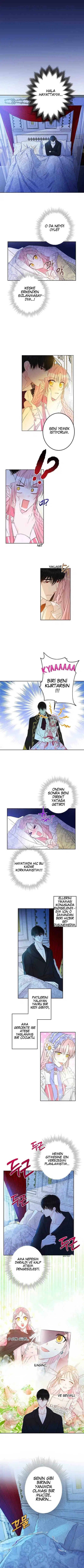Bu Açıkça Sahte Bir Evlilik - Bölüm 21 Sayfa 2