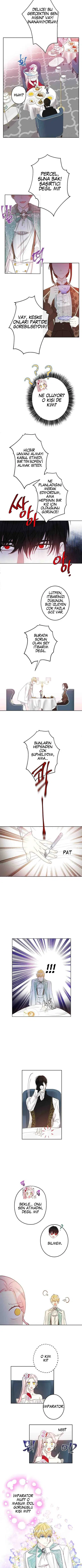 Bu Açıkça Sahte Bir Evlilik - Bölüm 22 Sayfa 4