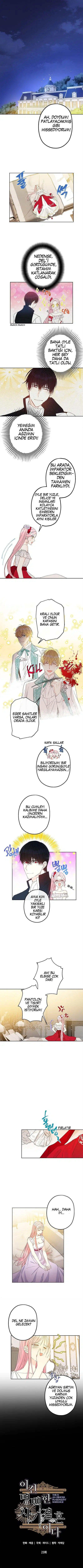 Bu Açıkça Sahte Bir Evlilik - Bölüm 23 Sayfa 2