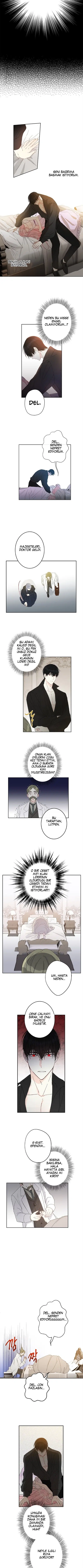 Bu Açıkça Sahte Bir Evlilik - Bölüm 23 Sayfa 5
