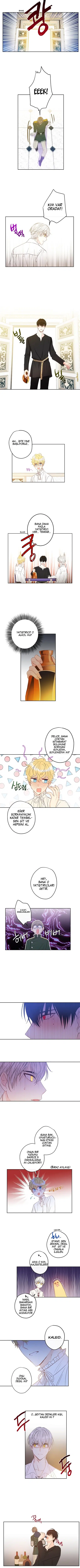 Bu Açıkça Sahte Bir Evlilik - Bölüm 27 Sayfa 4