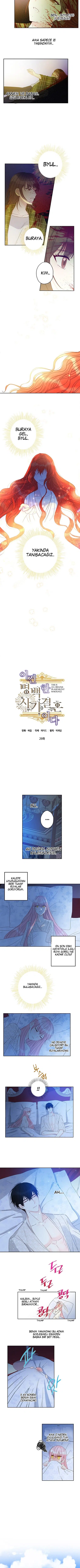 Bu Açıkça Sahte Bir Evlilik - Bölüm 29 Sayfa 3