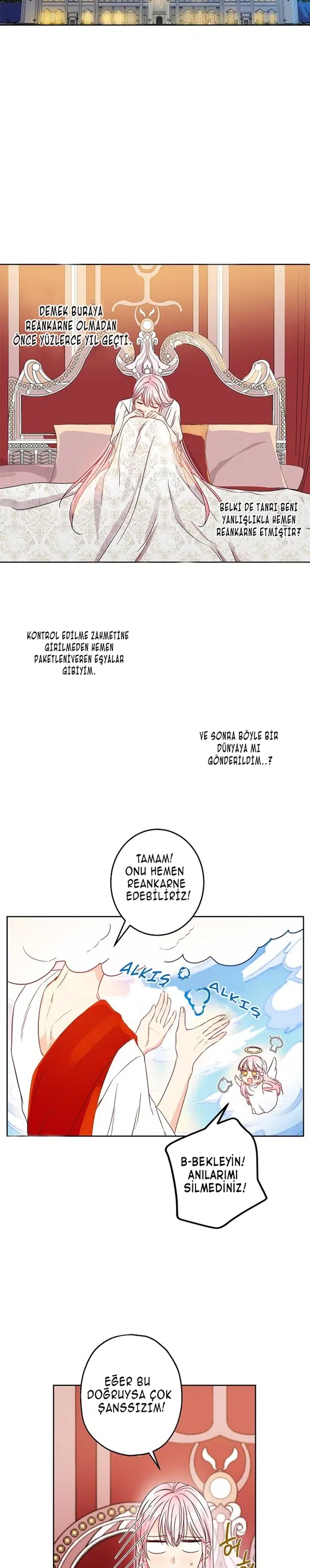 Bu Açıkça Sahte Bir Evlilik - Bölüm 46 Sayfa 11