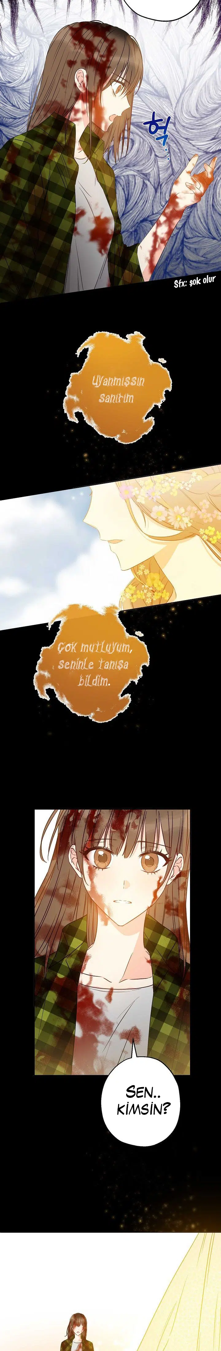Bu Açıkça Sahte Bir Evlilik - Bölüm 52 Sayfa 16