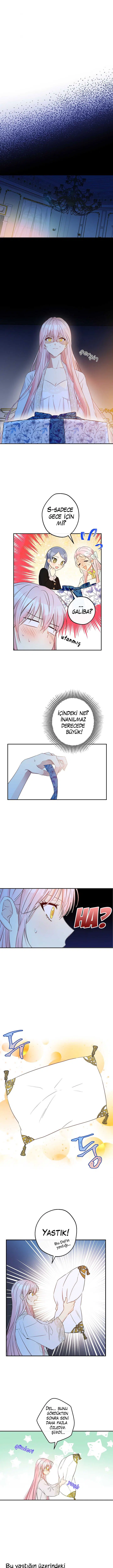 Bu Açıkça Sahte Bir Evlilik - Bölüm 58 Sayfa 4