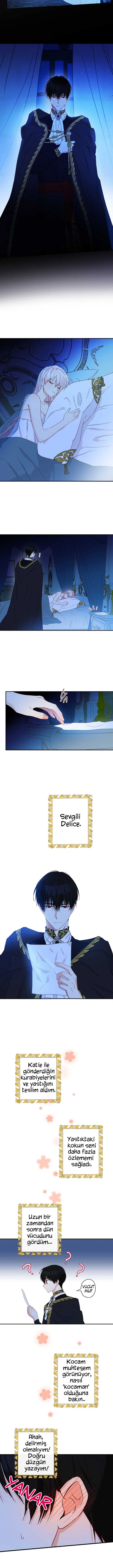 Bu Açıkça Sahte Bir Evlilik - Bölüm 58 Sayfa 8