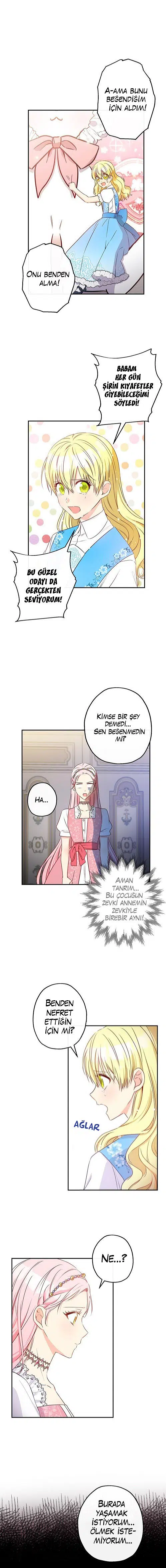 Bu Açıkça Sahte Bir Evlilik - Bölüm 61 Sayfa 2