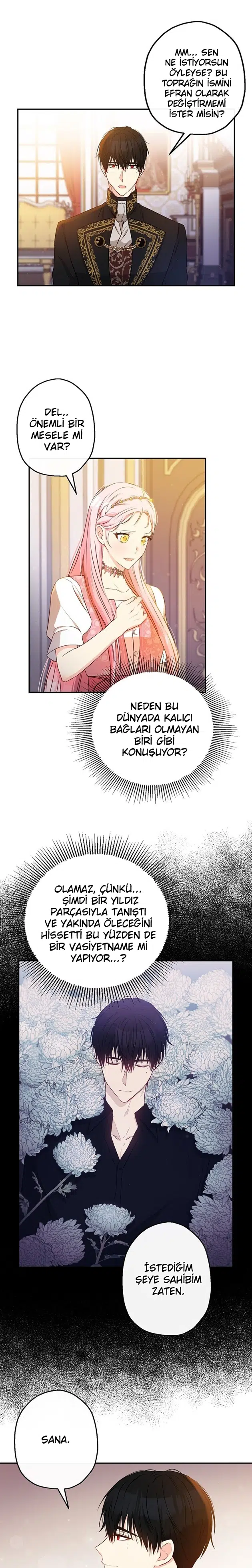Bu Açıkça Sahte Bir Evlilik - Bölüm 62 Sayfa 5