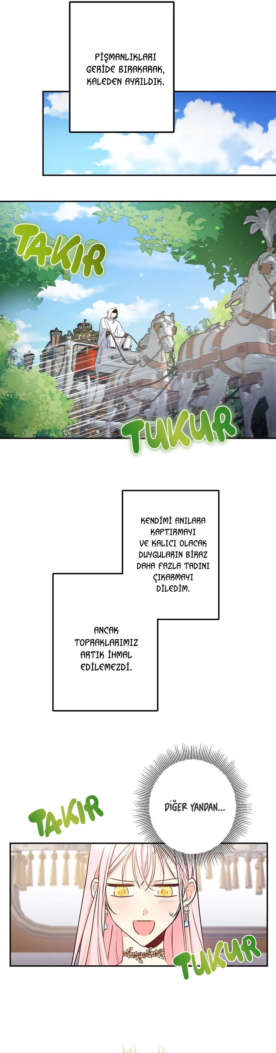 Bu Açıkça Sahte Bir Evlilik - Bölüm 64 Sayfa 17