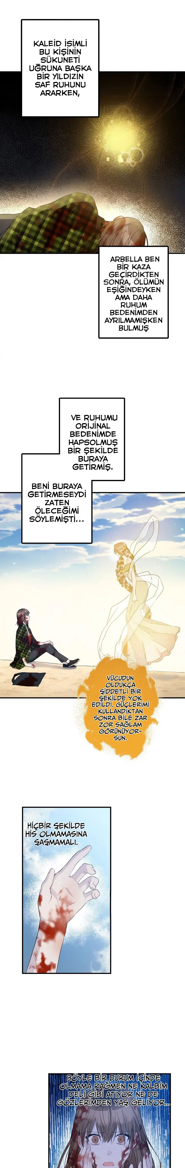 Bu Açıkça Sahte Bir Evlilik - Bölüm 71 Sayfa 12