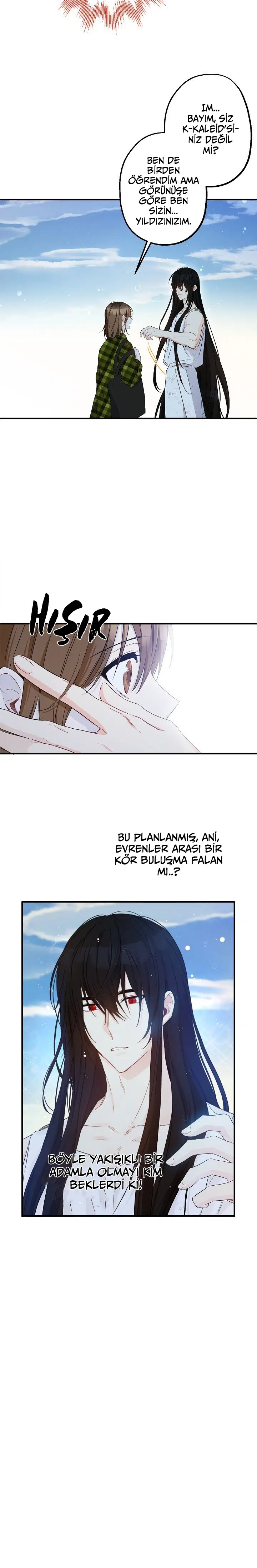 Bu Açıkça Sahte Bir Evlilik - Bölüm 71 Sayfa 17