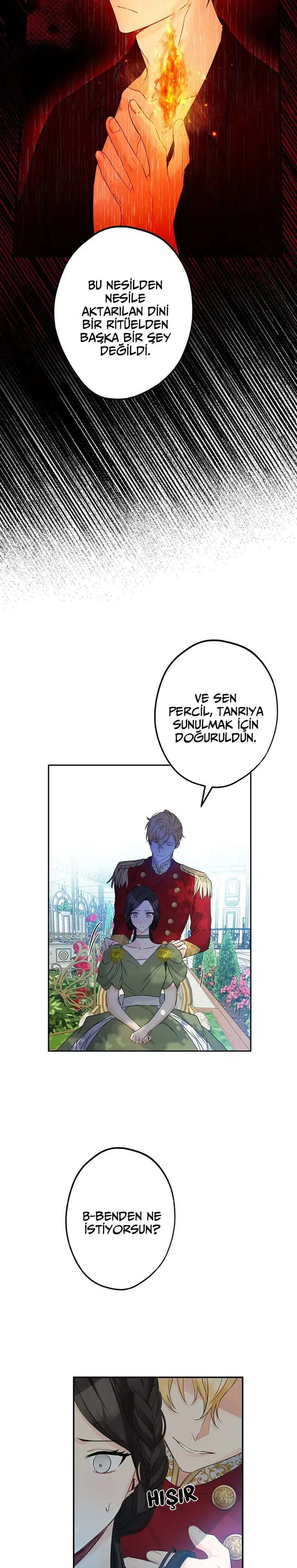 Bu Açıkça Sahte Bir Evlilik - Bölüm 75 Sayfa 12