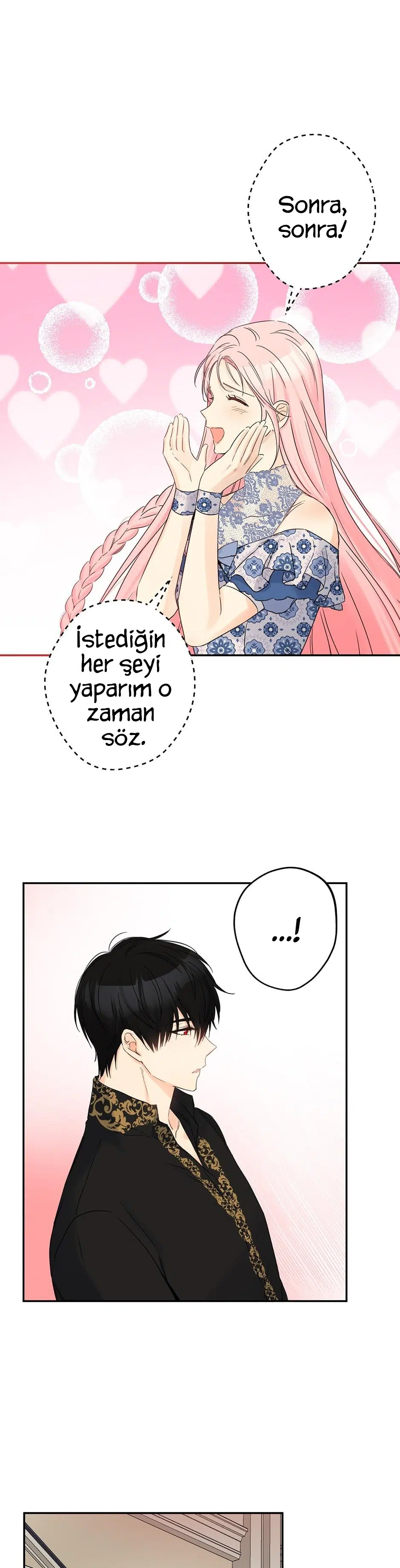 Bu Açıkça Sahte Bir Evlilik - Bölüm 77 Sayfa 29