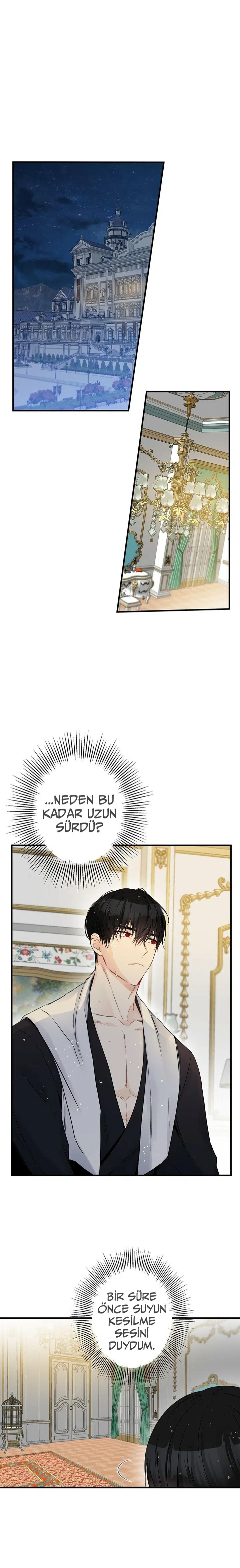 Bu Açıkça Sahte Bir Evlilik - Bölüm 80 Sayfa 2