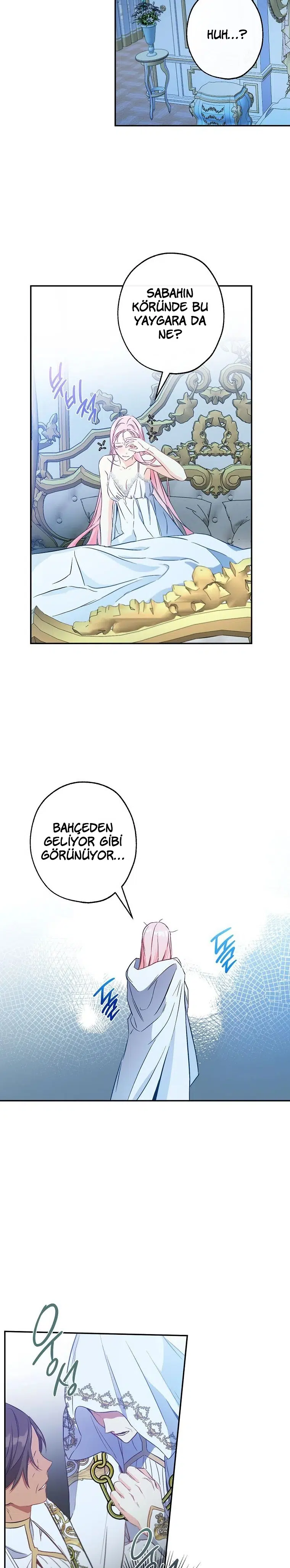 Bu Açıkça Sahte Bir Evlilik - Bölüm 87 Sayfa 23