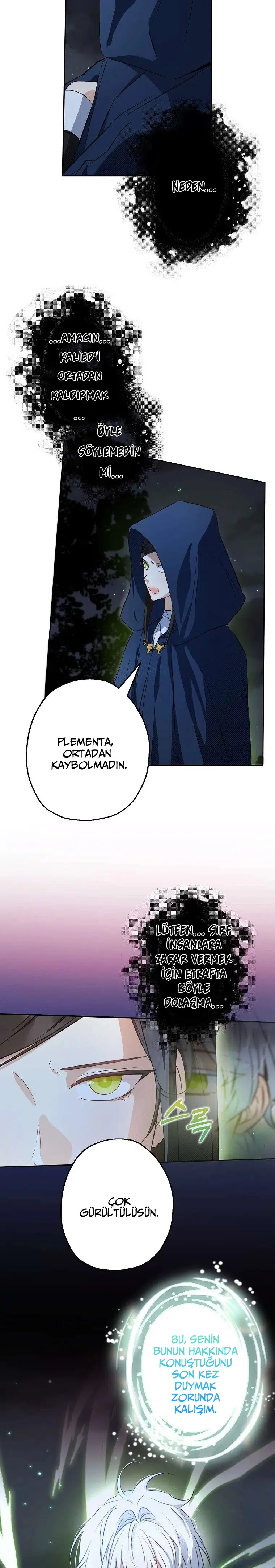 Bu Açıkça Sahte Bir Evlilik - Bölüm 96 Sayfa 12