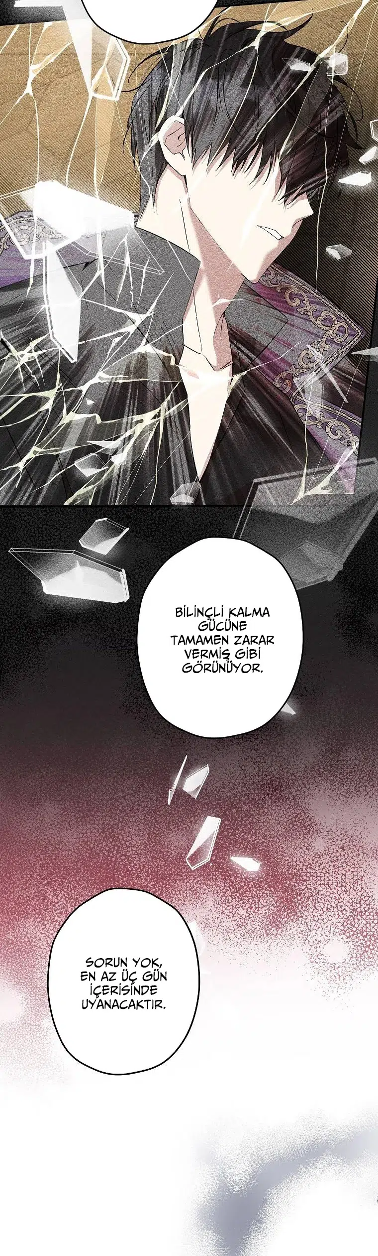 Bu Açıkça Sahte Bir Evlilik - Bölüm 98 Sayfa 13