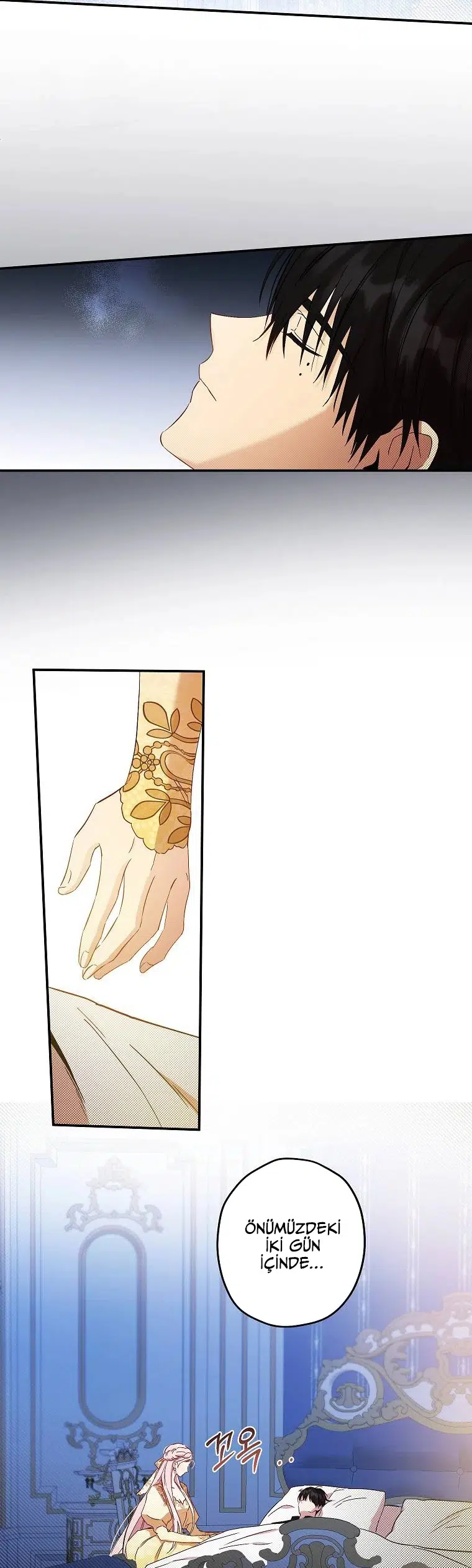 Bu Açıkça Sahte Bir Evlilik - Bölüm 98 Sayfa 15
