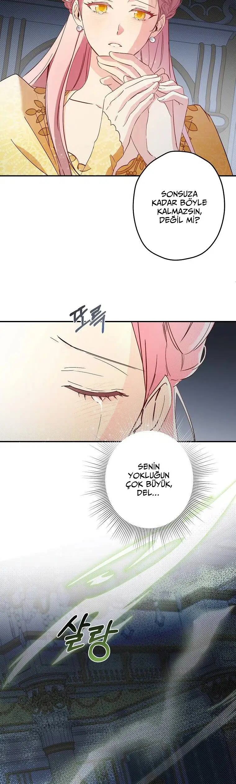 Bu Açıkça Sahte Bir Evlilik - Bölüm 98 Sayfa 17