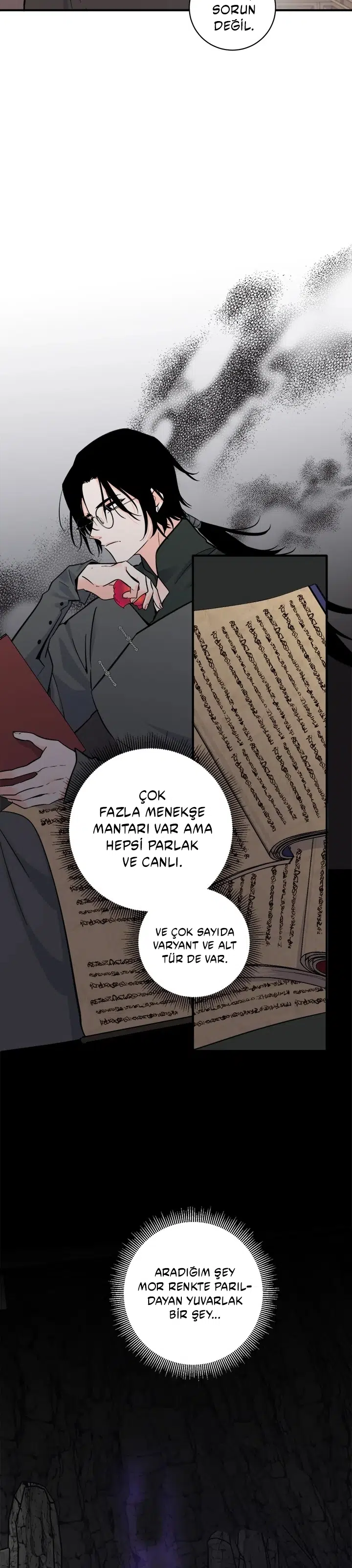 Yeon Lok Heun - Bölüm 157 Sayfa 15