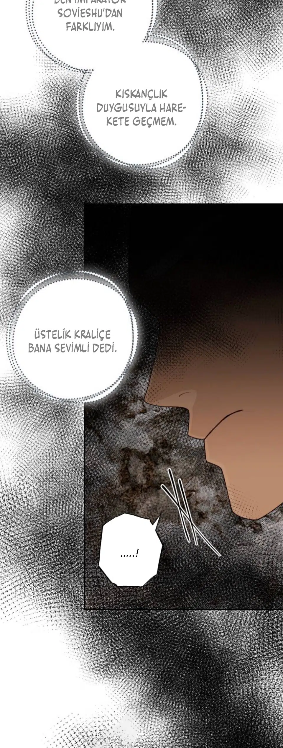 Yeniden Evlenen İmparatoriçe - Bölüm 119 Sayfa 16