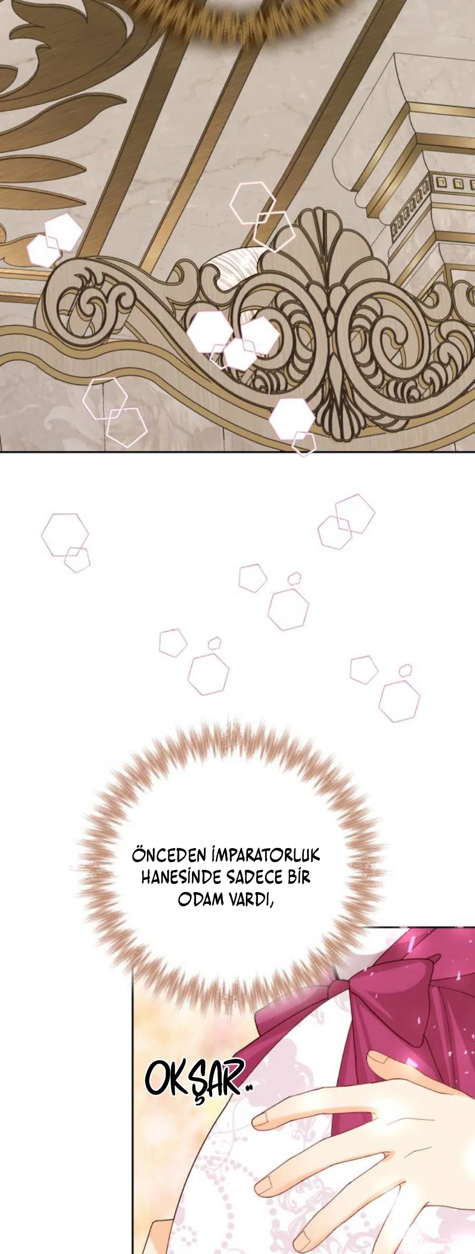 Yeniden Evlenen İmparatoriçe - Bölüm 119 Sayfa 45