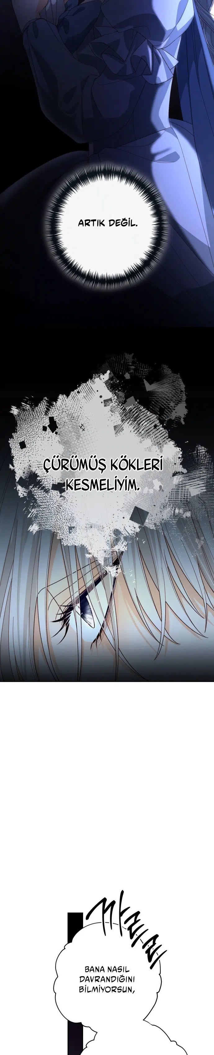Yeniden Evlenen İmparatoriçe - Bölüm 174 Sayfa 29