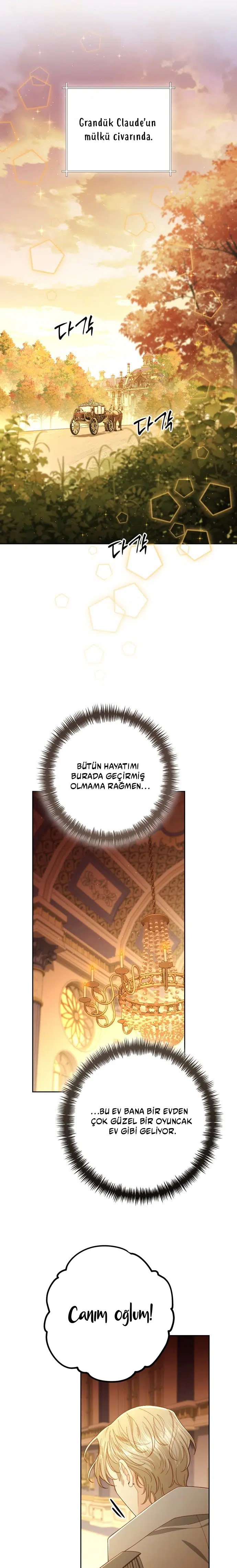 Yeniden Evlenen İmparatoriçe - Bölüm 215 Sayfa 26