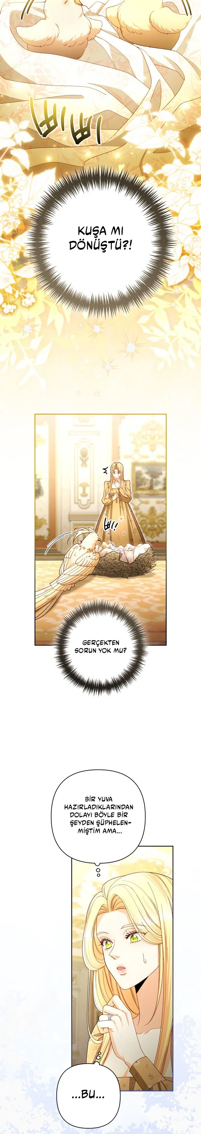 Yeniden Evlenen İmparatoriçe - Bölüm 223 Sayfa 28