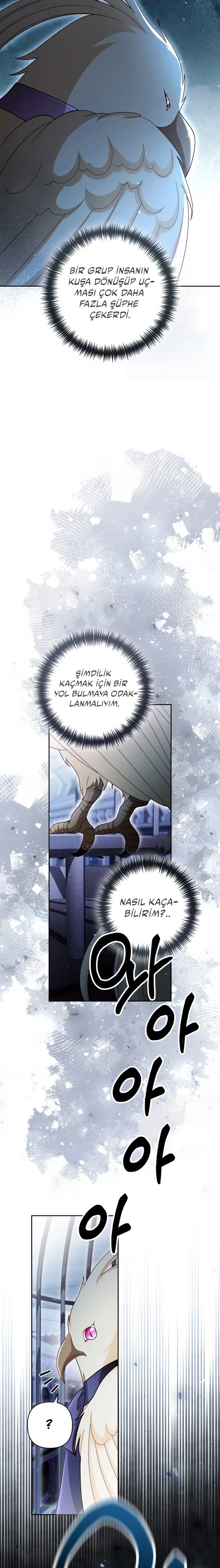 Yeniden Evlenen İmparatoriçe - Bölüm 232 Sayfa 11
