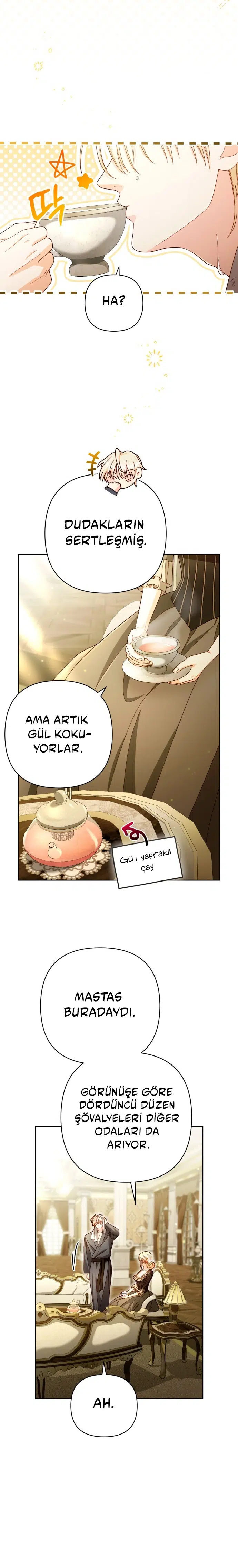 Yeniden Evlenen İmparatoriçe - Bölüm 233 Sayfa 19