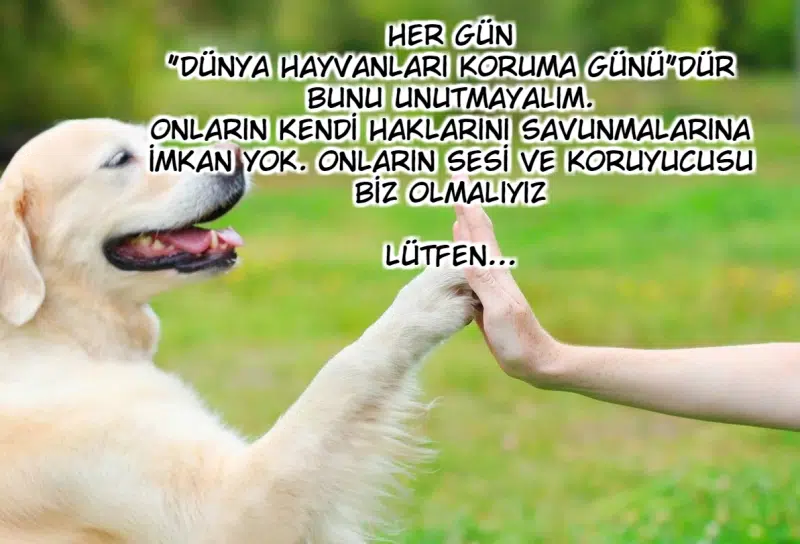 Cehennem Kraliçesiyle Evlilik - Bölüm 42 Sayfa 11