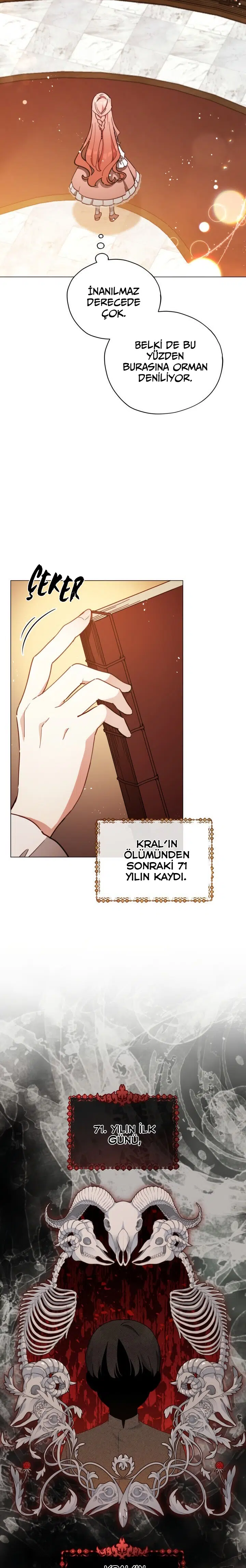 Dokunulmaz Leydi - Bölüm 23 Sayfa 17
