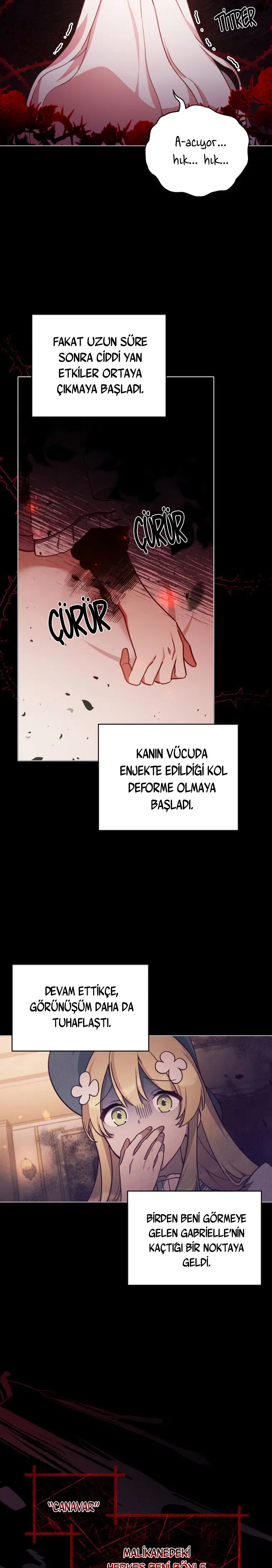 Dokunulmaz Leydi - Bölüm 35 Sayfa 10