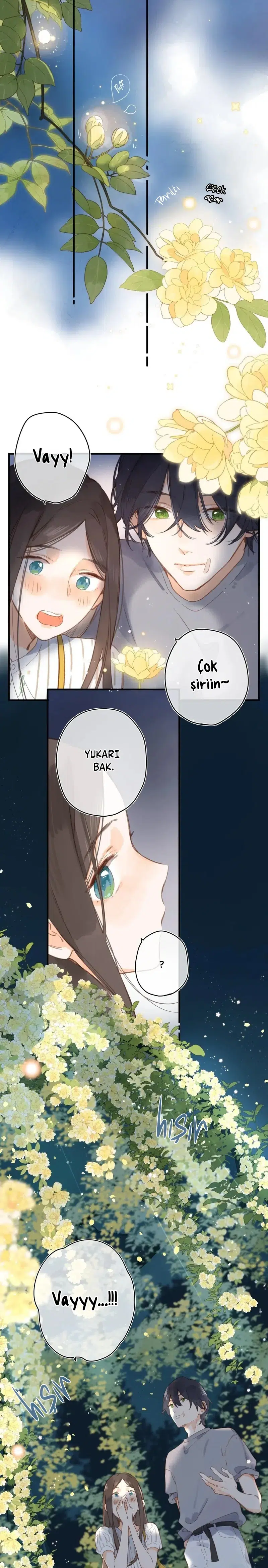 Çiçek Açan Yaz - Bölüm 20 Sayfa 11