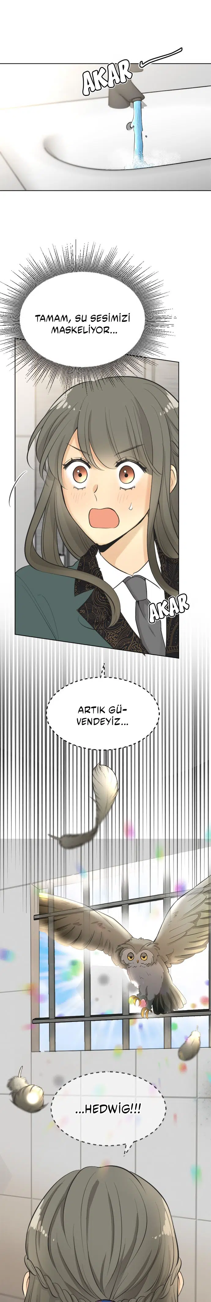 Maskenin Ardındaki Başkan - Bölüm 63 Sayfa 17