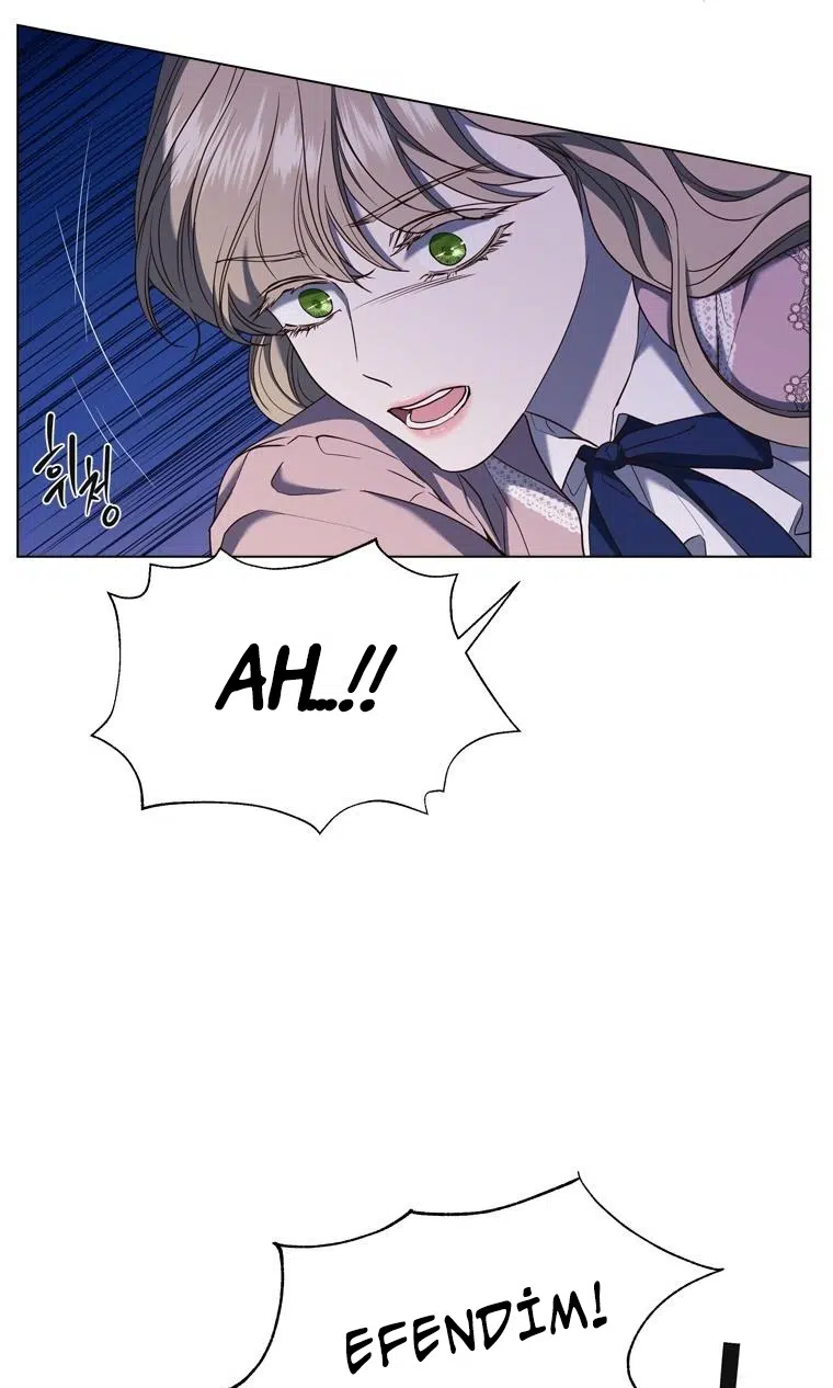 The Villain’s Savior - Bölüm 47 Sayfa 23