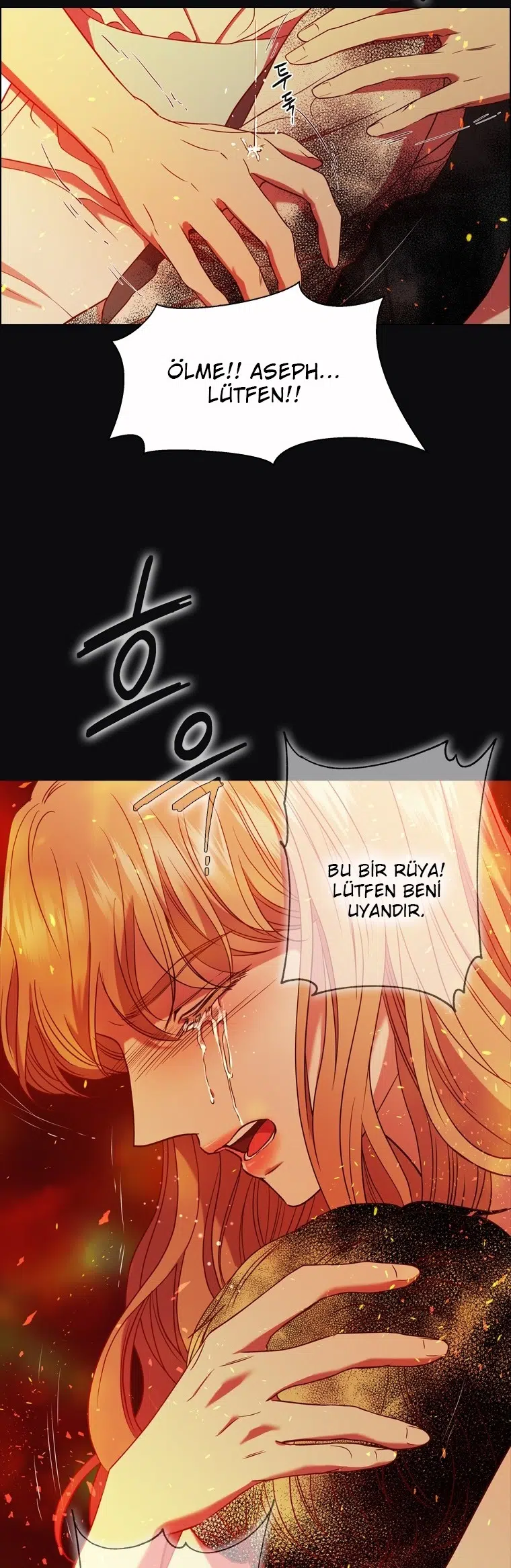 The Villain’s Savior - Bölüm 55 Sayfa 37