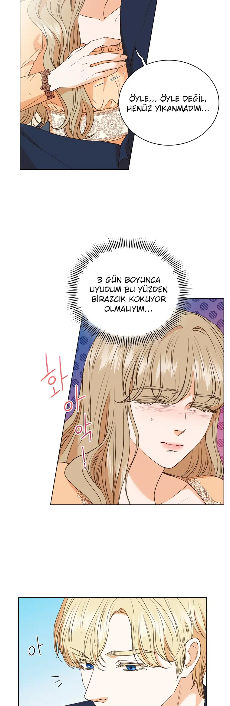 The Villain’s Savior - Bölüm 60 Sayfa 17