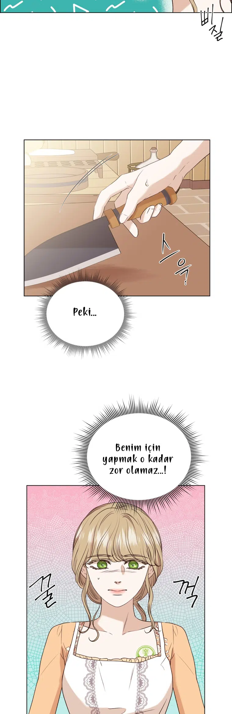 The Villain’s Savior - Bölüm 61 Sayfa 14