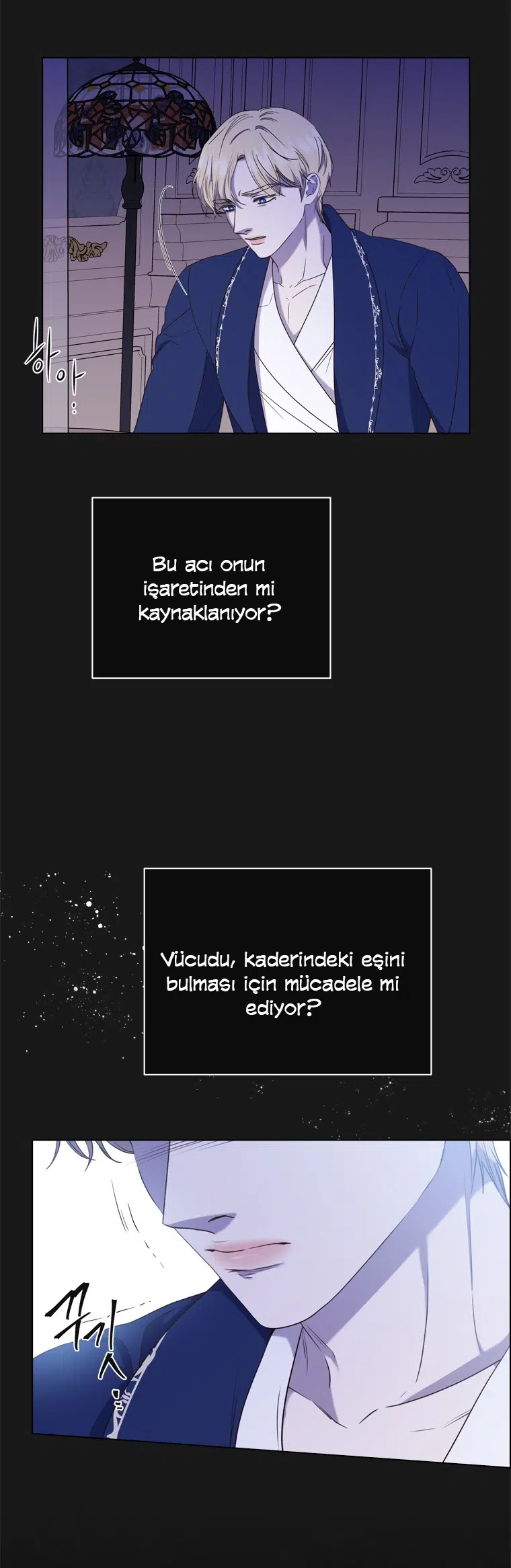 The Villain’s Savior - Bölüm 65 Sayfa 11