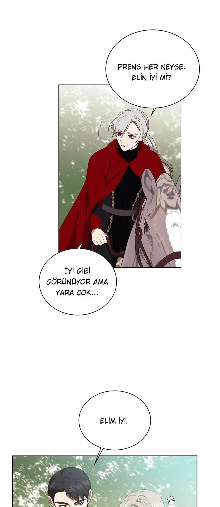 The Villain’s Savior - Bölüm 72 Sayfa 33