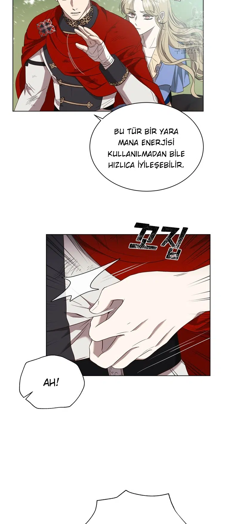 The Villain’s Savior - Bölüm 72 Sayfa 34