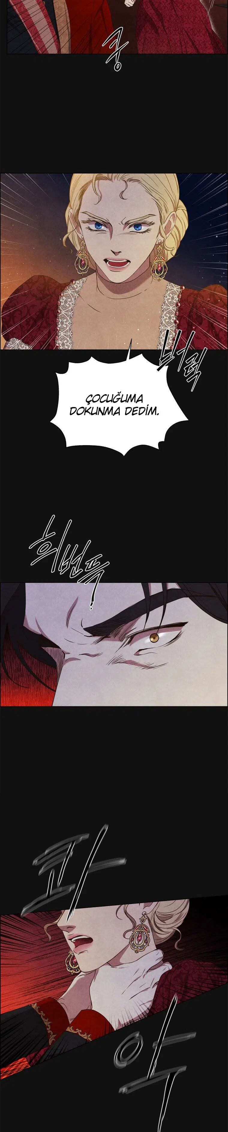 The Villain’s Savior - Bölüm 76 Sayfa 27