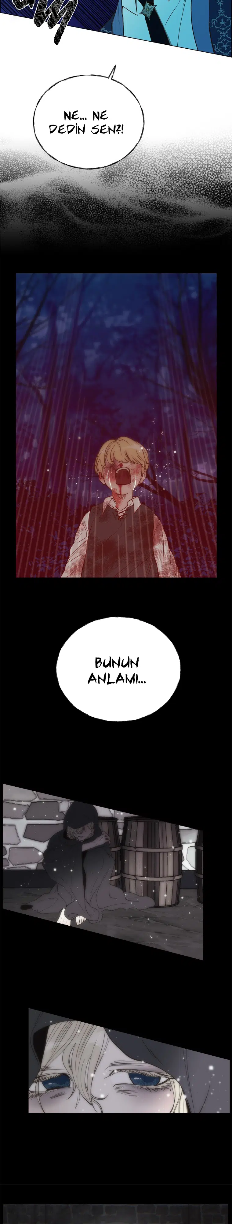 The Villain’s Savior - Bölüm 81 Sayfa 7