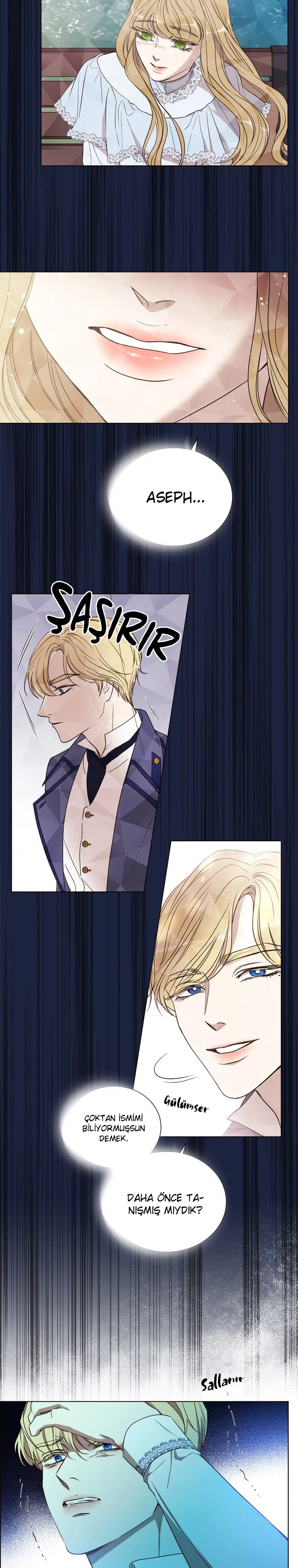 The Villain’s Savior - Bölüm 81 Sayfa 9